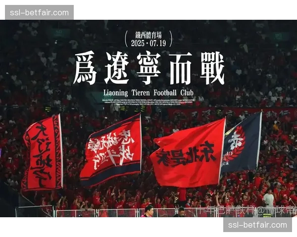 辽宁铁人冲超成功：中甲冠军的顶级联赛征程正式开启