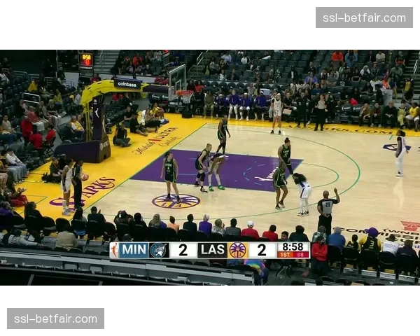 历史瞬间回顾：2016年洛杉矶火花与明尼苏达山猫的经典抢七大战