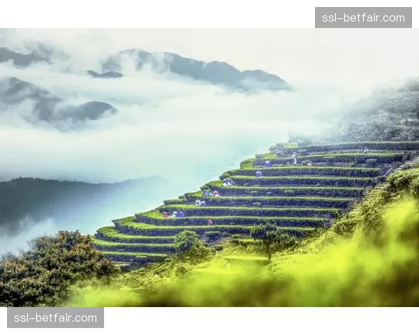 数据模型预测:梅州客家新赛季保级概率为68% 数据模型预测:梅州客家新赛季保级概率为68%